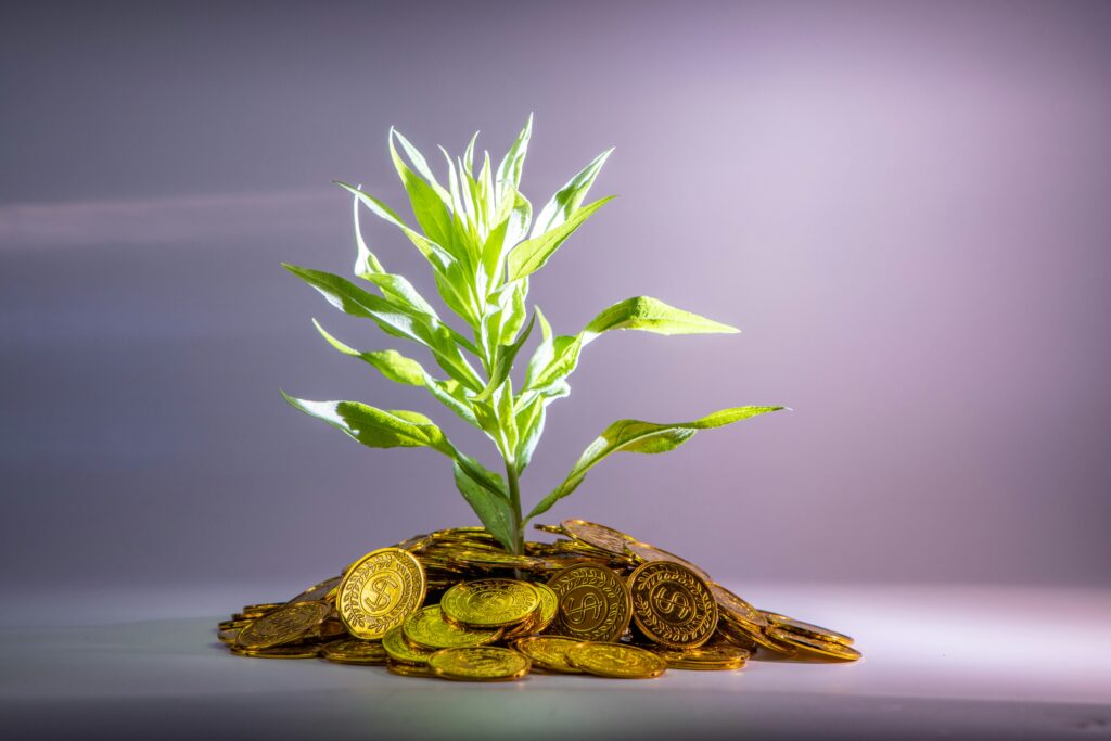 What is XIRR in mutual funds?