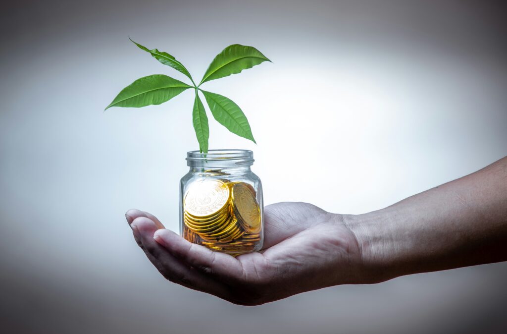 What Are Treps In Mutual Funds