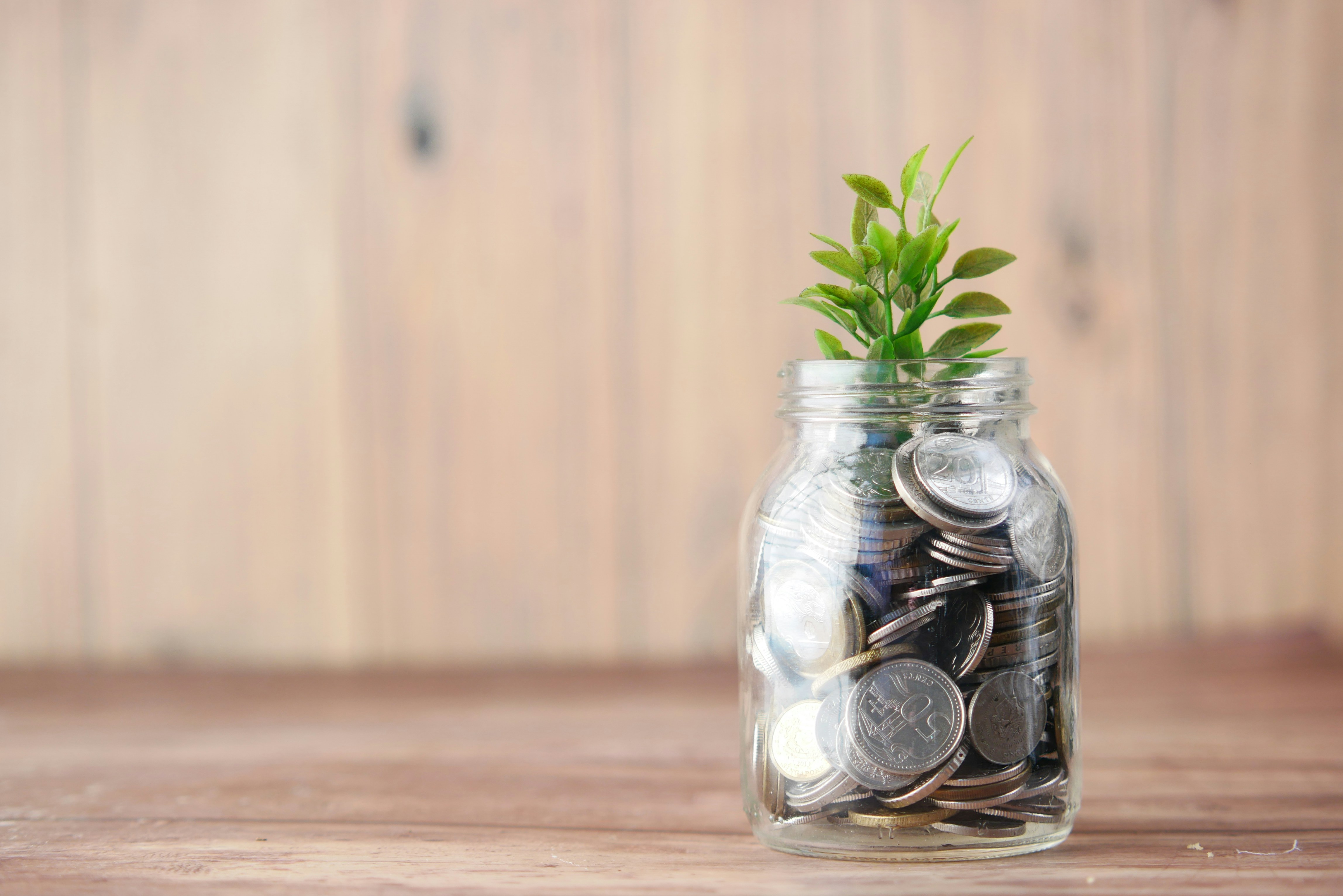 What are the best mutual funds to invest in India, and why?